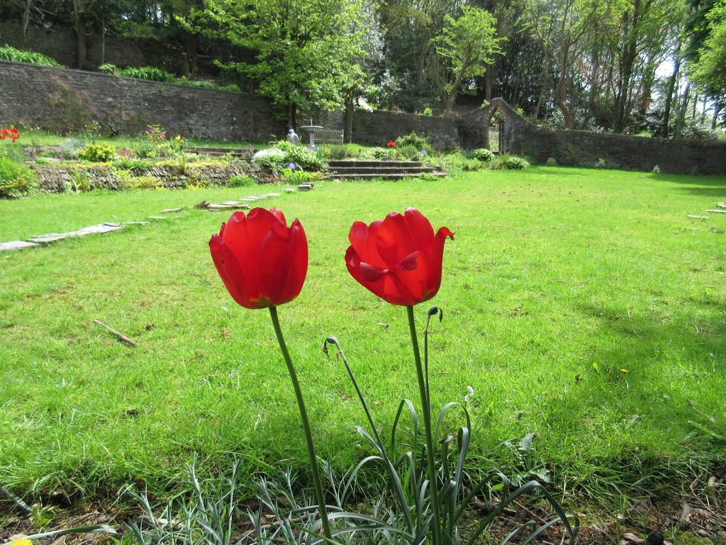Gellihaf House Bed & Breakfast Blackwood  Bagian luar foto